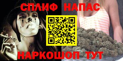 сатива Кингисепп