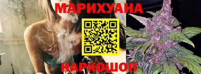 сатива Кингисепп