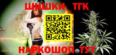 сатива Кингисепп