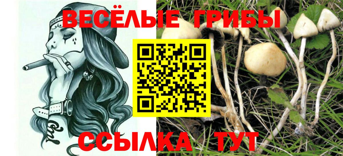 Псилоцибиновые грибы мухоморы  Вход с VPN  Кириши  Псилоцибиновые грибы Cubensis 